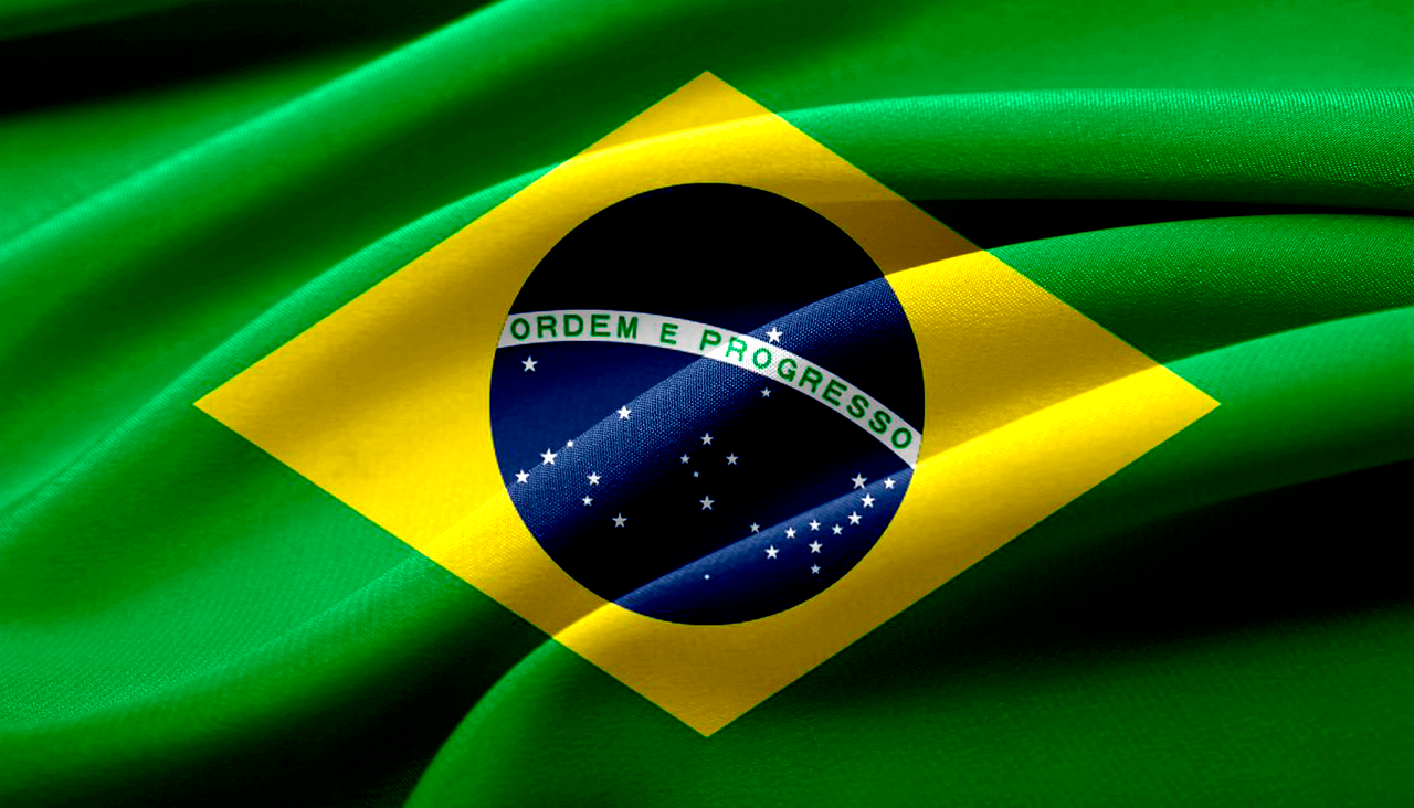 Brazilian Government Grants and Programs: A Comprehensive Guide